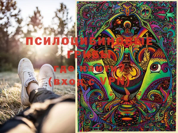 каннабис Коряжма